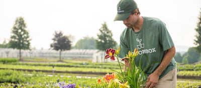 A Bloombox employee hand picks a pot of flowers
