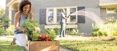 A Bloombox customer admiring their box of beautiful and healthy plants