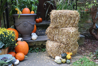 Fall Decor