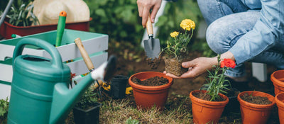 A Bloombox customer using garden tools to plant some beautiful perennials