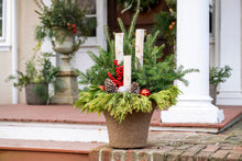 Load image into Gallery viewer, Drop-In Planter Subscription