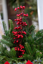 Load image into Gallery viewer, 'Classic Christmas' Drop-In Planter