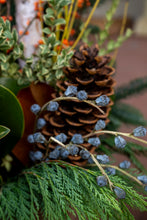 Load image into Gallery viewer, 'Winter Fire' Drop-In Planter