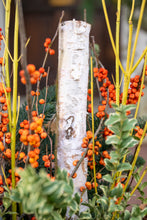 Load image into Gallery viewer, 'Winter Fire' Drop-In Planter