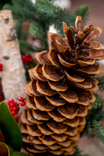 Load image into Gallery viewer, 'The Aspen' Drop-In Planter