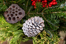 Load image into Gallery viewer, Black Friday Birch Log Planter