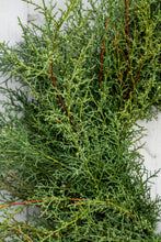 Load image into Gallery viewer, Carolina Sapphire Wreath