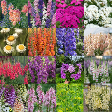 Load image into Gallery viewer, Ultimate Cut Flower Garden Pack