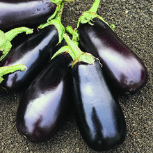 Load image into Gallery viewer, Eggplant 'Classic'