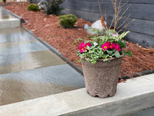 Load image into Gallery viewer, Drop-In Planter Subscription