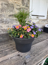 Load image into Gallery viewer, Premium Summer Planter - Lantana & Ageratum