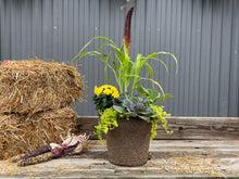 Load image into Gallery viewer, Drop-In Planter Subscription
