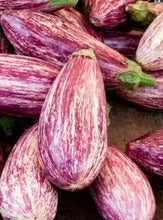 Load image into Gallery viewer, Eggplant 'Pinstripe'