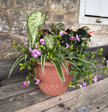 Load image into Gallery viewer, Summe Shade Planter