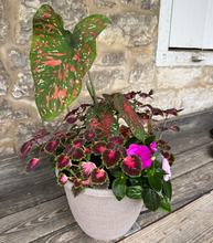 Load image into Gallery viewer, Summe Shade Planter