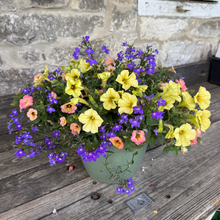 Load image into Gallery viewer, Summer Porch Pot for Sun