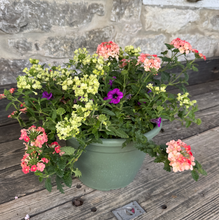 Load image into Gallery viewer, Summer Porch Pot for Sun