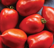 Load image into Gallery viewer, Tomato 'Fat Mama'