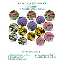 Load image into Gallery viewer, Easy Care Beginners Garden