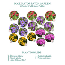 Load image into Gallery viewer, Pollinator Patch Garden Kit