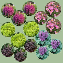 Load image into Gallery viewer, Deer Resistant Shade Garden Kit