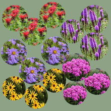 Load image into Gallery viewer, Pollinator Patch Garden Kit