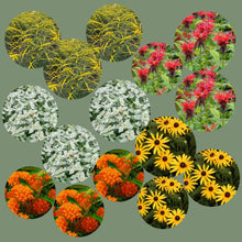 Load image into Gallery viewer, Monarch Magnet Butterfly Garden Kit