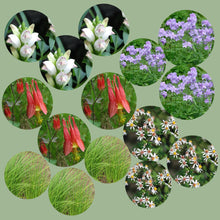 Load image into Gallery viewer, Native Shade Garden Kit