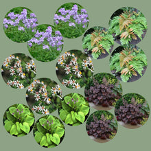 Load image into Gallery viewer, Easy Shade Garden Kit