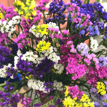 Load image into Gallery viewer, Ultimate Cut Flower Garden Pack