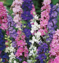 Load image into Gallery viewer, Ultimate Cut Flower Garden Pack