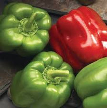 Load image into Gallery viewer, Pepper 'Better Belle'