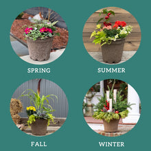 Load image into Gallery viewer, Drop-In Planter Subscription