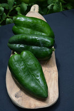 Load image into Gallery viewer, Pepper 'Trident' (Poblano)
