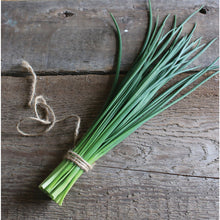 Load image into Gallery viewer, Chives 'Staro'