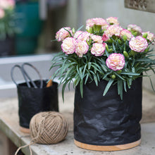 Load image into Gallery viewer, Dianthus Flow® 'Grace Bay®'