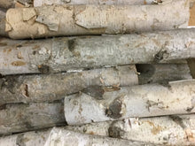 Load image into Gallery viewer, Birch Yule Log