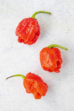 Load image into Gallery viewer, Pepper 'Carolina Reaper'