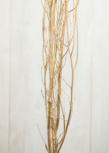 Load image into Gallery viewer, Gold-painted Birch Branches