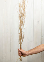 Load image into Gallery viewer, Gold-painted Birch Branches