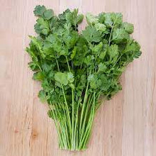 Load image into Gallery viewer, Cilantro 'Santo'
