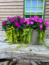 Load image into Gallery viewer, 'Gridstone Garden' Planted Container