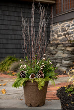 Load image into Gallery viewer, White Christmas DIY Container Kit