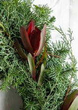 Load image into Gallery viewer, Leucodendron + Sapphire Wreath