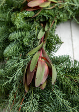 Load image into Gallery viewer, Leucodendron + Sapphire Wreath