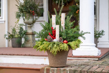 Load image into Gallery viewer, &#39;Birch &amp; Berries&#39; Drop-In Planter
