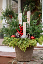 Load image into Gallery viewer, &#39;Birch &amp; Berries&#39; Drop-In Planter
