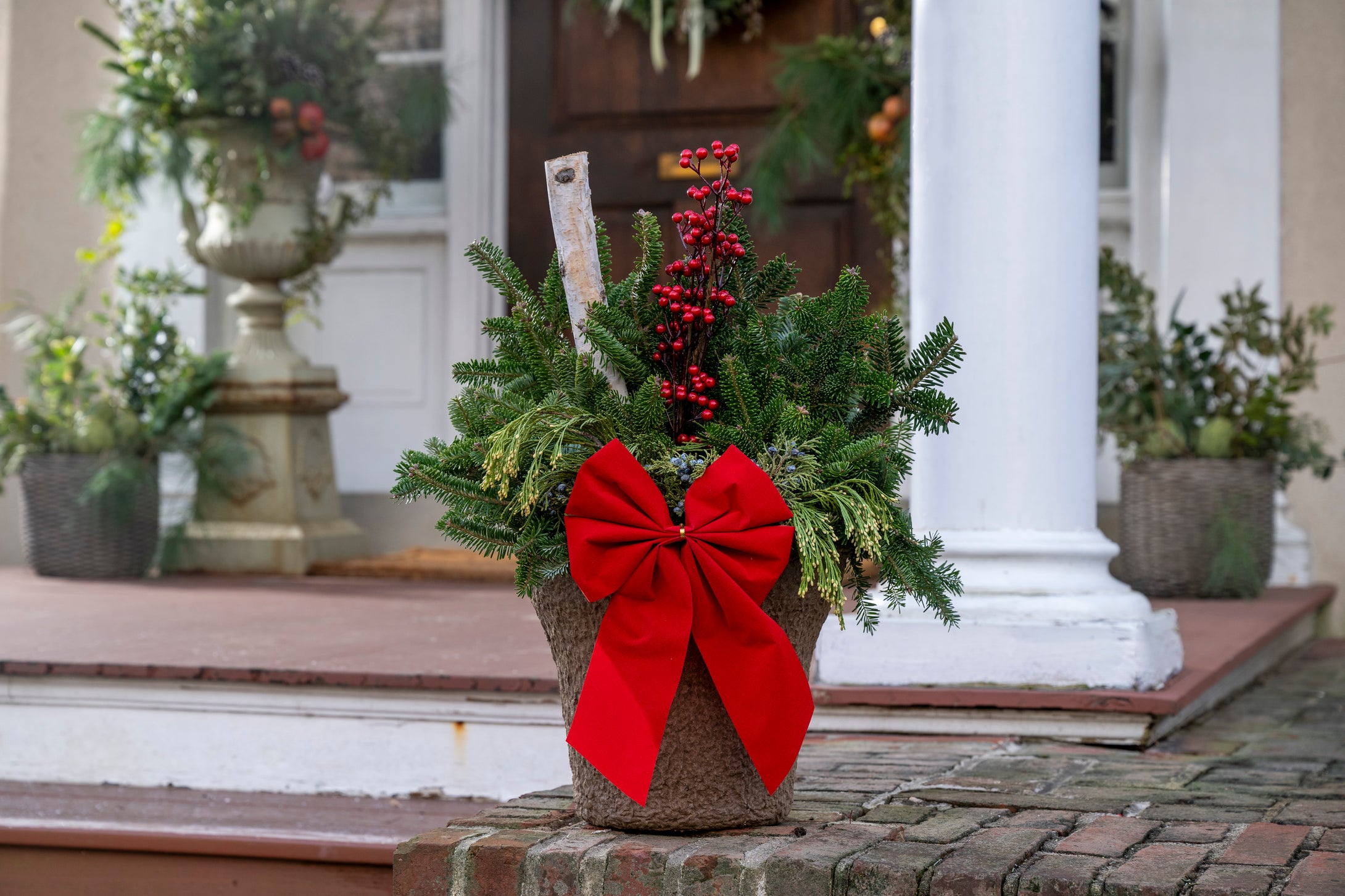 'Classic Christmas' Drop-In Planter