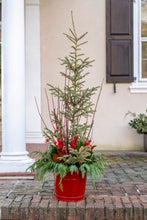 Load image into Gallery viewer, &#39;Grand Christmas&#39; Planter
