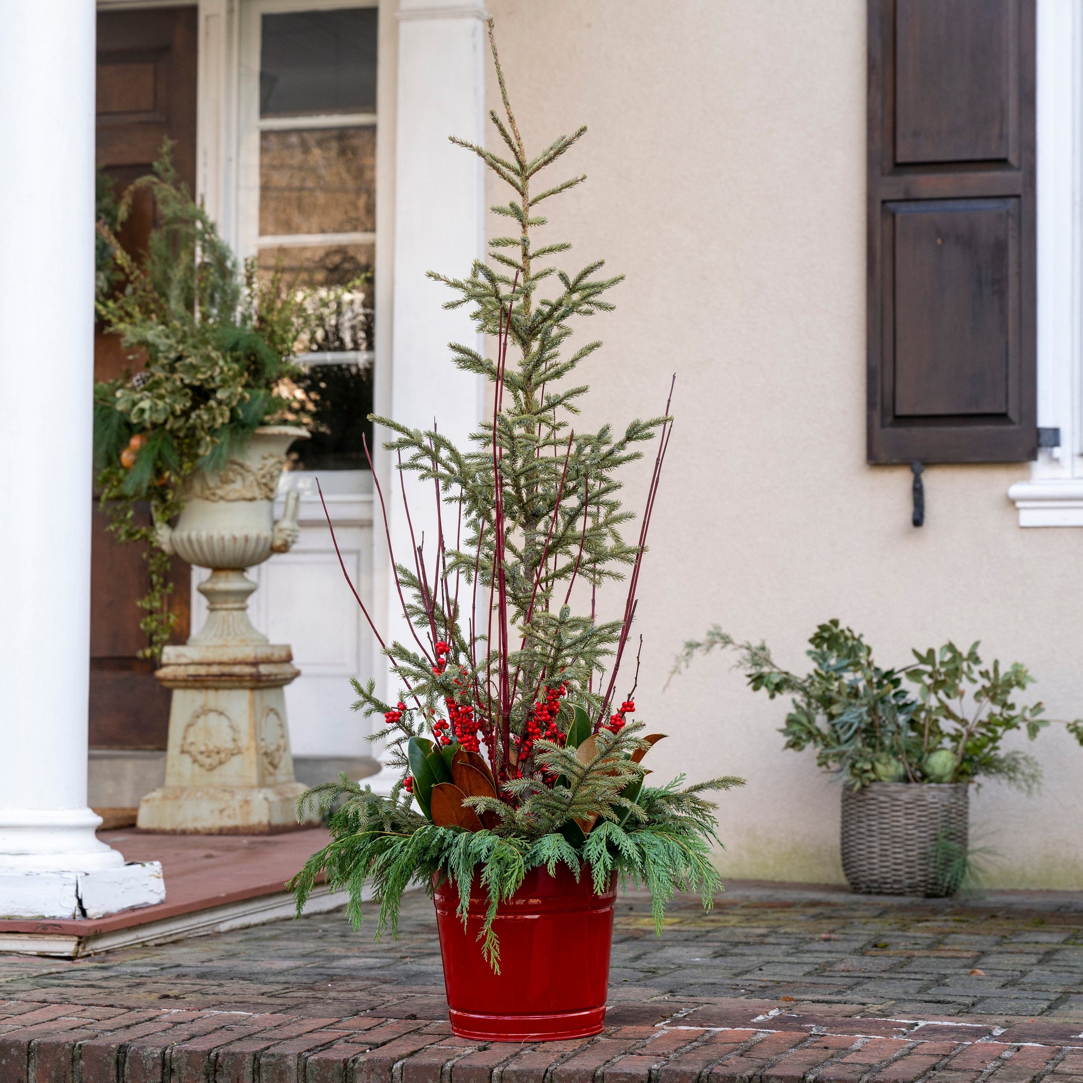 'Grand Christmas' Planter